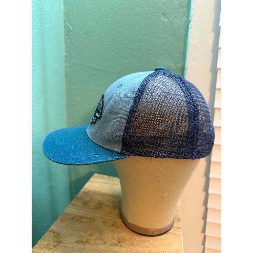 Patagonia Fits Roy Bear Mountain Cotton Mesh Back Hiking Trucker Hat Snapback